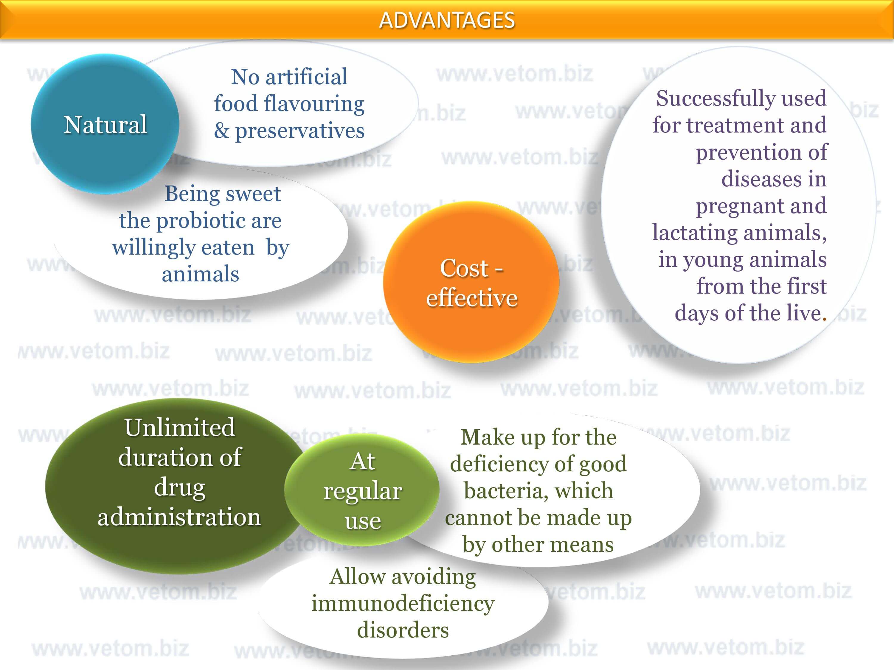 Advantages of probiotics VETOM is natural, cost-effective, unlimited duration of drug administration, at regular use allow avoiding immunodeficiency